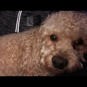 Meet your Posher, Stacy